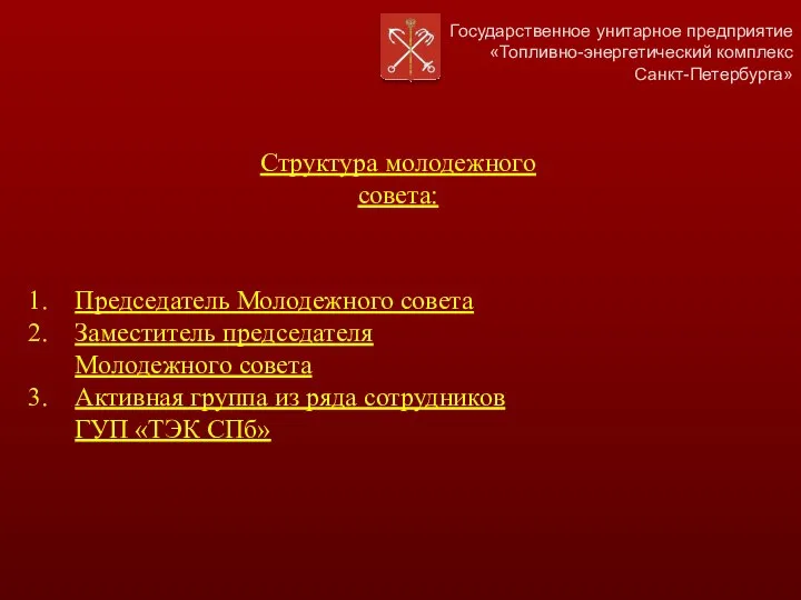 Государственное унитарное предприятие «Топливно-энергетический комплекс Санкт-Петербурга» Председатель Молодежного совета Заместитель председателя Молодежного