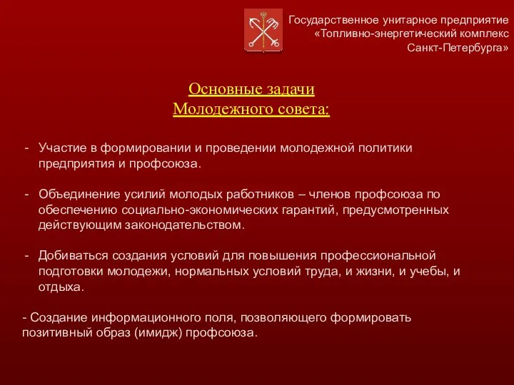 Государственное унитарное предприятие «Топливно-энергетический комплекс Санкт-Петербурга» Участие в формировании и проведении молодежной