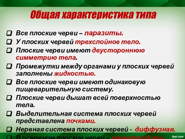 Общая характеристика типа Все плоские черви – паразиты. У плоских червей трехслойное