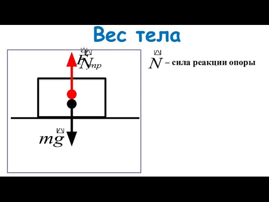 Вес тела – сила реакции опоры