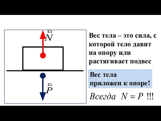 Вес тела – это сила, с которой тело давит на опору или