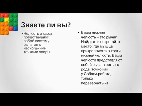 Знаете ли вы? Челюсть и хвост представляют собой систему рычагов с несколькими