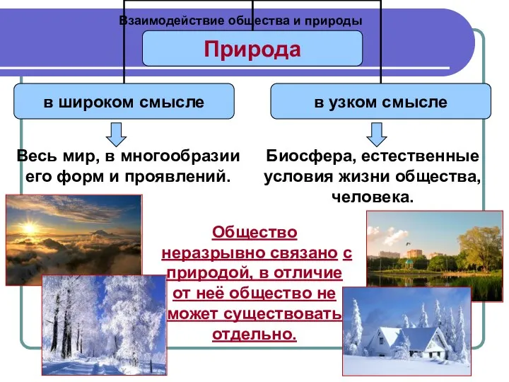 Взаимодействие общества и природы Весь мир, в многообразии его форм и проявлений.