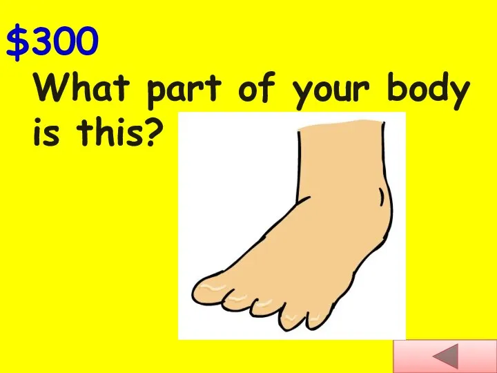 What part of your body is this? $300