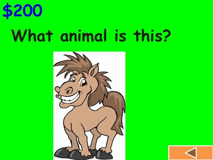 What animal is this? $200
