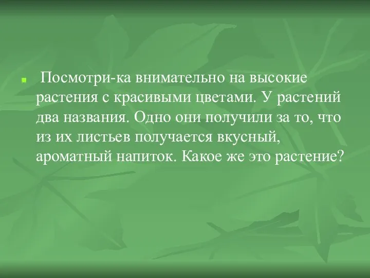 Посмотри-ка внимательно на высокие растения с красивыми цветами. У растений два названия.