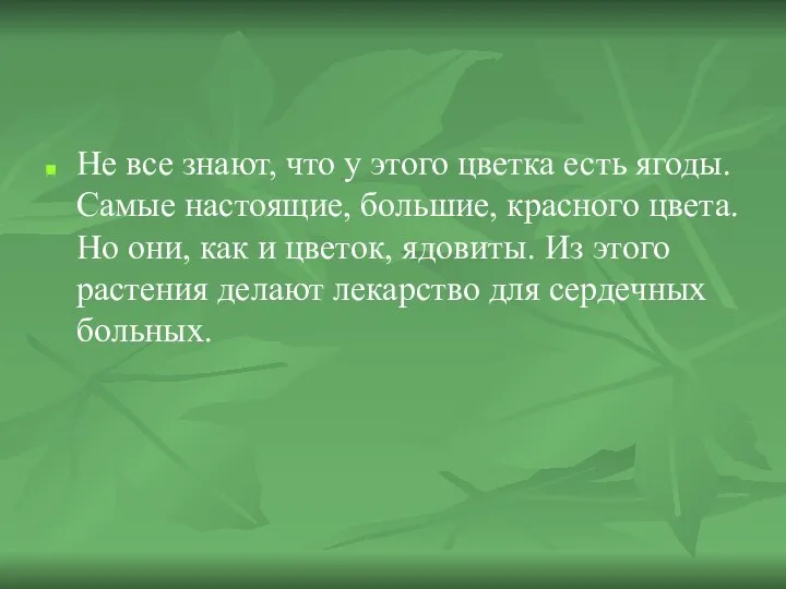 Не все знают, что у этого цветка есть ягоды. Самые настоящие, большие,