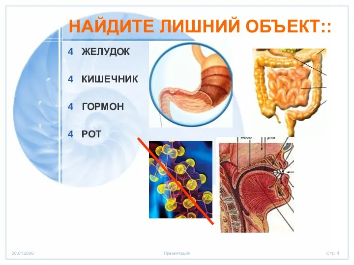 ЖЕЛУДОК КИШЕЧНИК ГОРМОН РОТ НАЙДИТЕ ЛИШНИЙ ОБЪЕКТ::