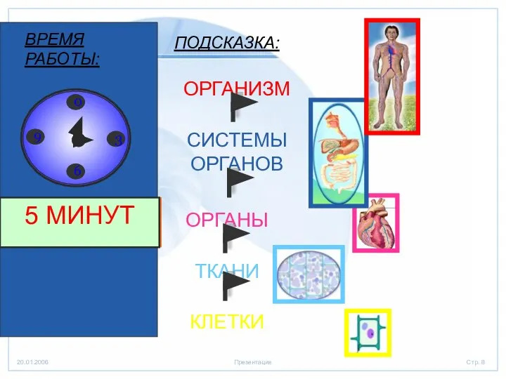 КЛЕТКИ ТКАНИ ОРГАНЫ СИСТЕМЫ ОРГАНОВ ОРГАНИЗМ ПОДСКАЗКА: ВРЕМЯ РАБОТЫ: Время!!! 10 СЕКУНД