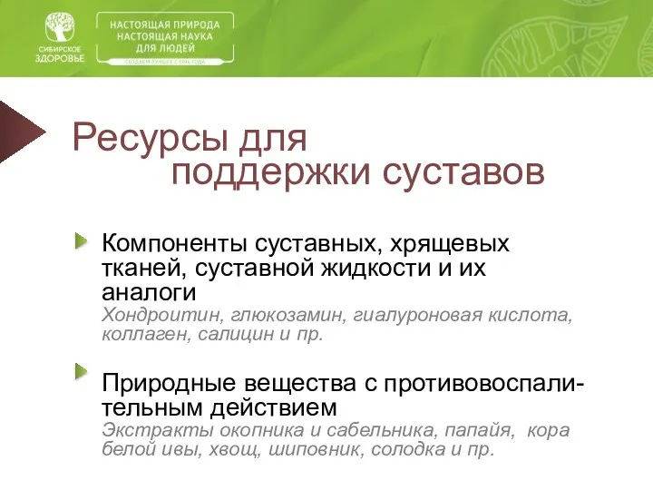 Ресурсы для поддержки суставов Компоненты суставных, хрящевых тканей, суставной жидкости и их