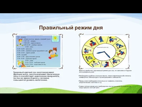 Правильный режим дня Здоровый крепкий сон восстанавливает функции мозга, восстанавливает физическую силу