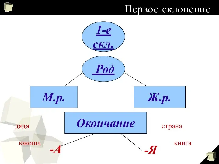 Первое склонение 1-е скл. Род М.р. Ж.р. Окончание А- -А Я- Я-