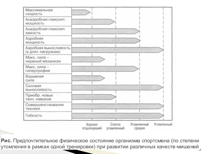 Рис. Предпочтительное физическое состояние организма спортсмена (по степени утомления в рамках одной