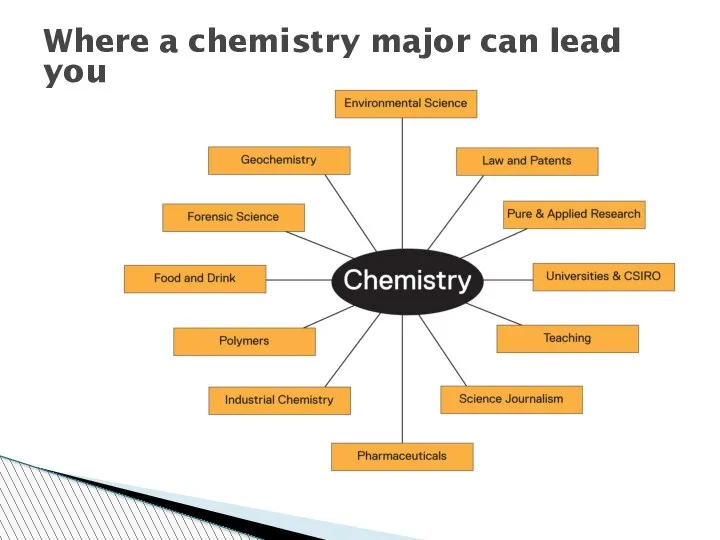 Where a chemistry major can lead you