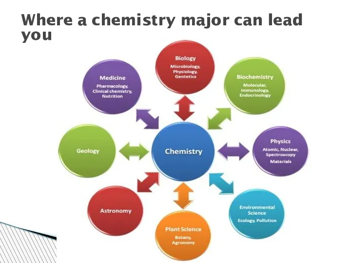 Where a chemistry major can lead you