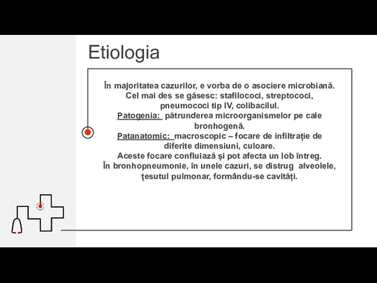 Etiologia În majoritatea cazurilor, e vorba de o asociere microbiană. Cel mai