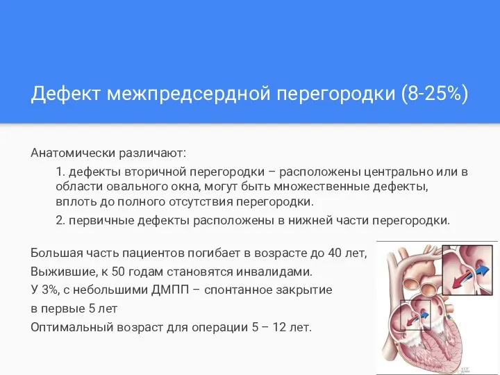 Дефект межпредсердной перегородки (8-25%) Анатомически различают: 1. дефекты вторичной перегородки – расположены