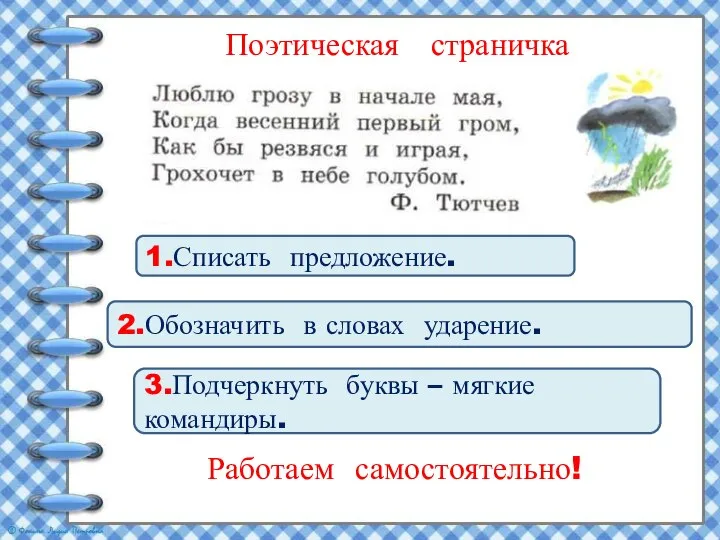 Поэтическая страничка 1.Списать предложение. 2.Обозначить в словах ударение. 3.Подчеркнуть буквы – мягкие командиры. Работаем самостоятельно!