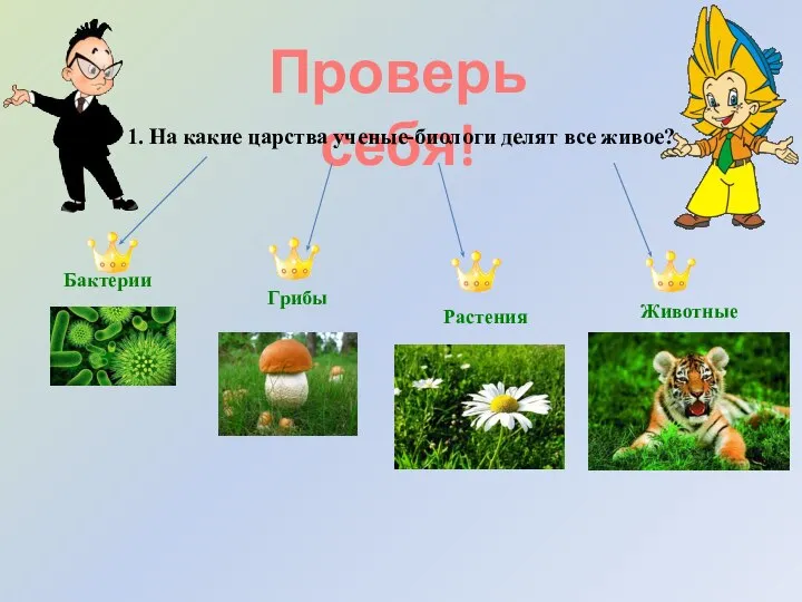 Проверь себя! 1. На какие царства ученые-биологи делят все живое? Бактерии Грибы Растения Животные