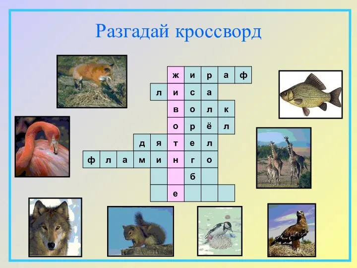 Разгадай кроссворд ж и о в т и е н р а