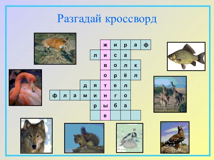 Разгадай кроссворд ж и о в т и е ы н р