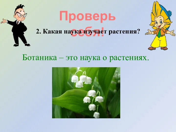 Проверь себя! 2. Какая наука изучает растения? Ботаника – это наука о растениях.