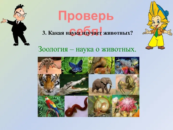 Проверь себя! 3. Какая наука изучает животных? Зоология – наука о животных.