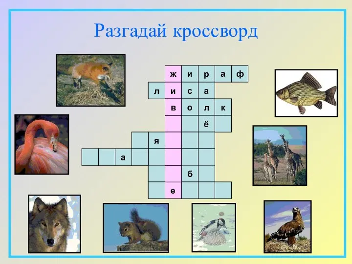 Разгадай кроссворд ж и в и е р а ф л с