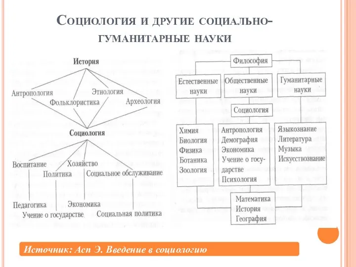 Социология и другие социально-гуманитарные науки Источник: Асп Э. Введение в социологию