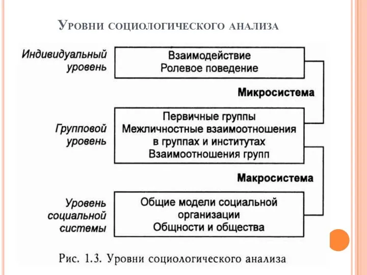 Уровни социологического анализа