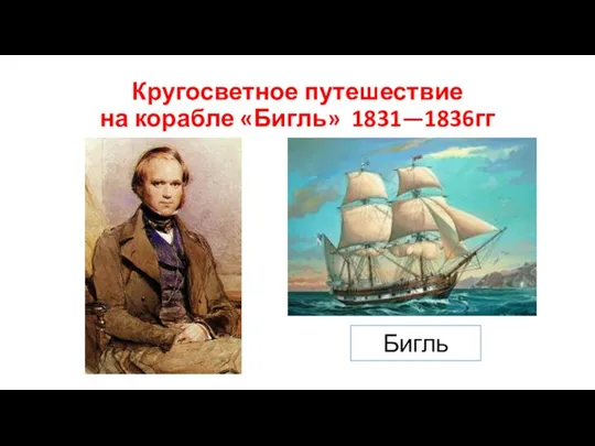 Кругосветное путешествие на корабле «Бигль» 1831—1836гг Бигль