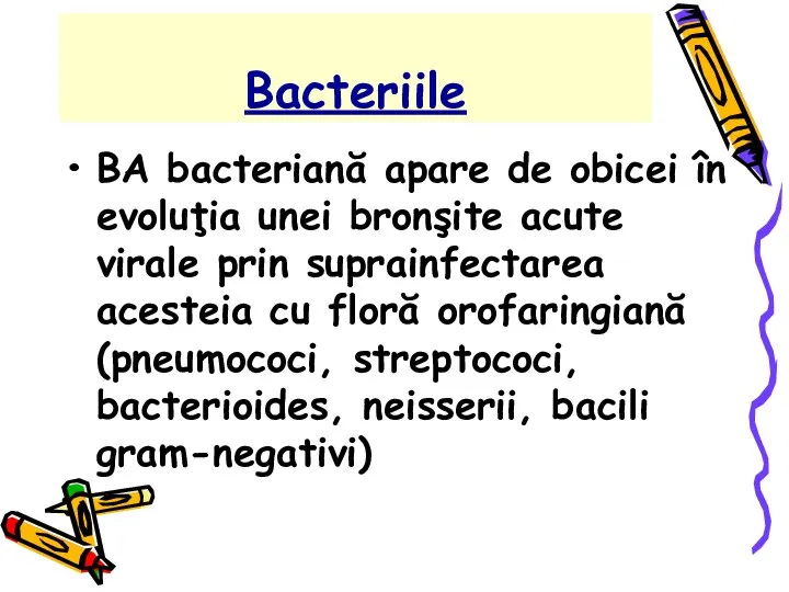 Bacteriile BA bacteriană apare de obicei în evoluţia unei bronşite acute virale