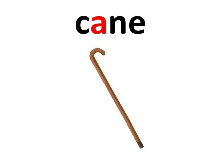 cane