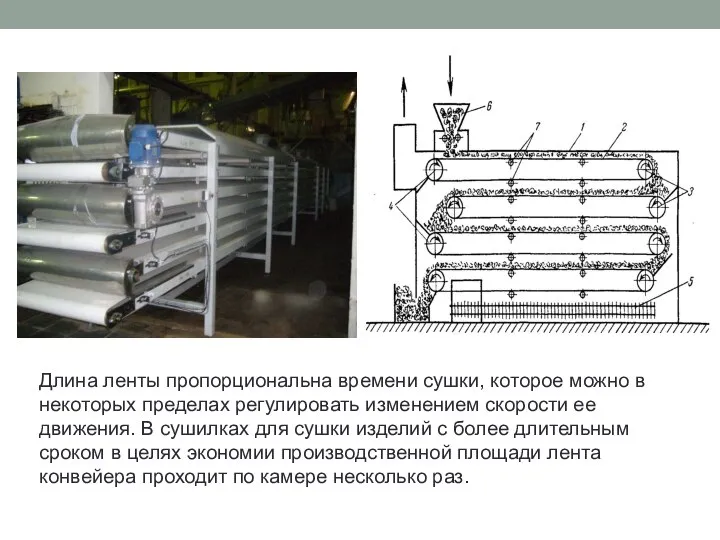 Длина ленты пропорциональна времени сушки, которое можно в некоторых пределах регулировать изменением