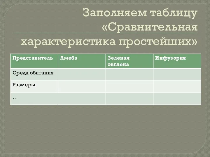 Заполняем таблицу «Сравнительная характеристика простейших»