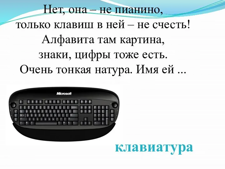 Нет, она – не пианино, только клавиш в ней – не счесть!