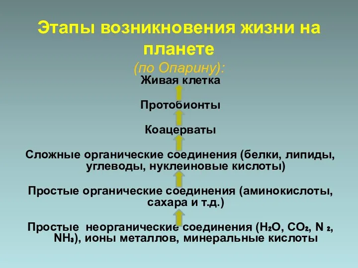 Этапы возникновения жизни на планете (по Опарину): Живая клетка Протобионты Коацерваты Сложные