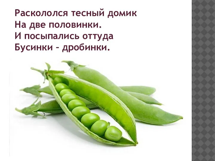 Раскололся тесный домик На две половинки. И посыпались оттуда Бусинки – дробинки.