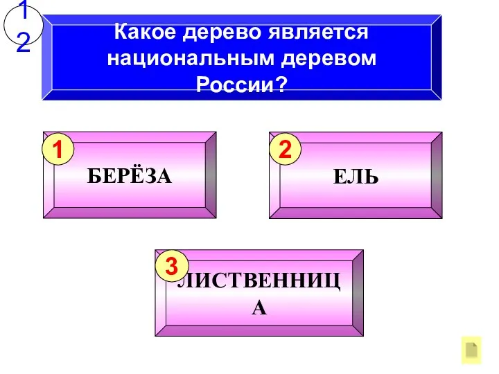 Какое дерево является национальным деревом России? 12