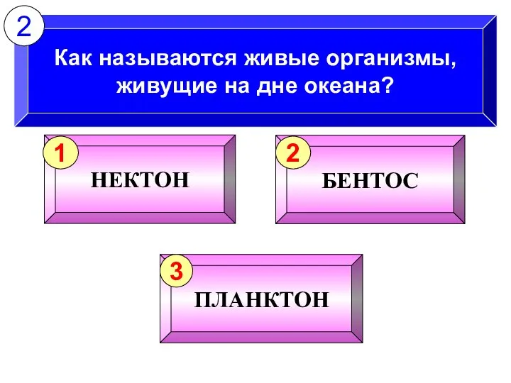 Как называются живые организмы, живущие на дне океана? 2