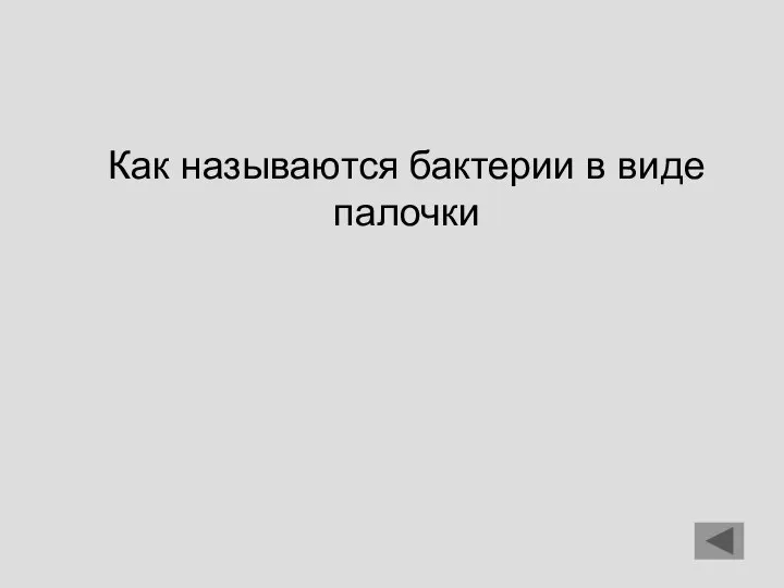 Как называются бактерии в виде палочки