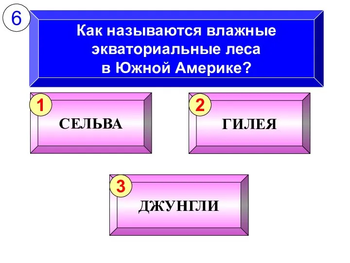 Как называются влажные экваториальные леса в Южной Америке? 6