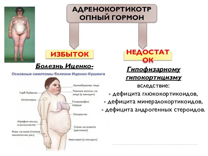 ИЗБЫТОК НЕДОСТАТОК Болезнь Иценко-Кушинга Гипофизарному гипокортицизму вследствие: - дефицита глюкокортикоидов, - дефицита