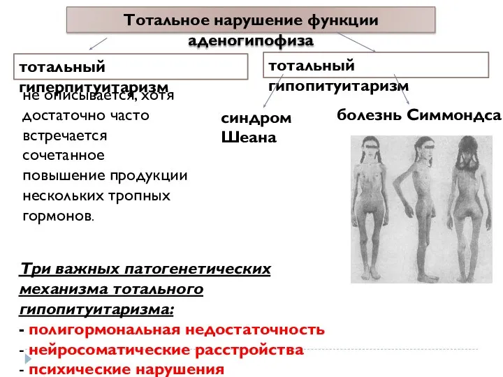 Тотальное нарушение функции аденогипофиза не описывается, хотя достаточно часто встречается сочетанное повышение