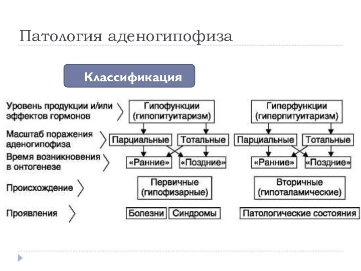 Патология аденогипофиза Классификация