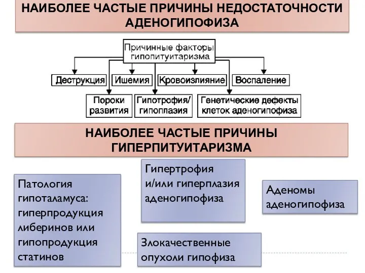 НАИБОЛЕЕ ЧАСТЫЕ ПРИЧИНЫ НЕДОСТАТОЧНОСТИ АДЕНОГИПОФИЗА НАИБОЛЕЕ ЧАСТЫЕ ПРИЧИНЫ ГИПЕРПИТУИТАРИЗМА Патология гипоталамуса: гиперпродукция