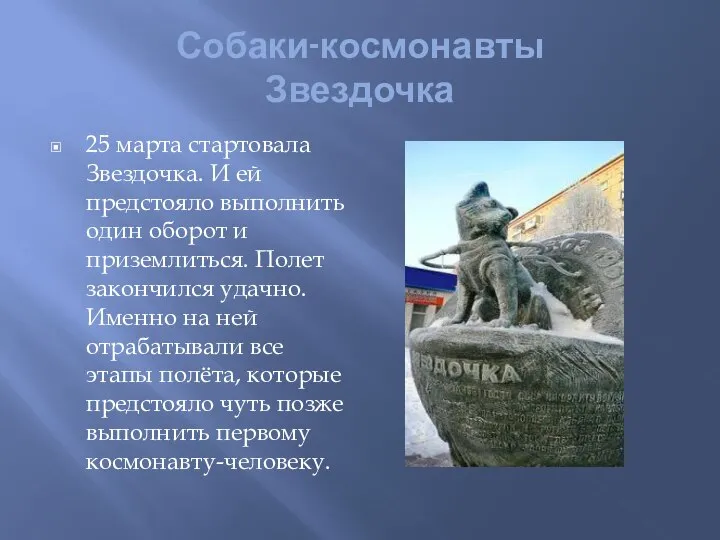 Собаки-космонавты Звездочка 25 марта стартовала Звездочка. И ей предстояло выполнить один оборот