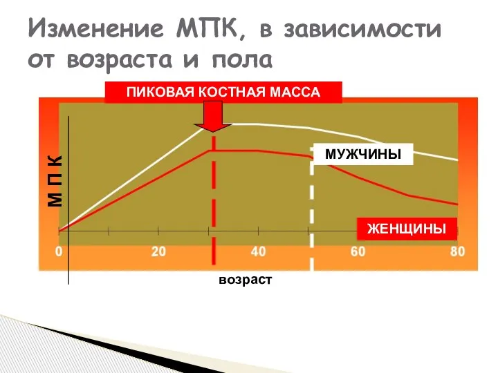 возраст М П К ПИКОВАЯ КОСТНАЯ МАССА МУЖЧИНЫ ЖЕНЩИНЫ Изменение МПК, в