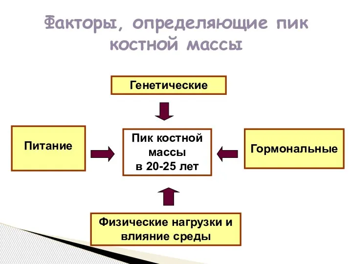 Факторы, определяющие пик костной массы Пик костной массы в 20-25 лет Физические