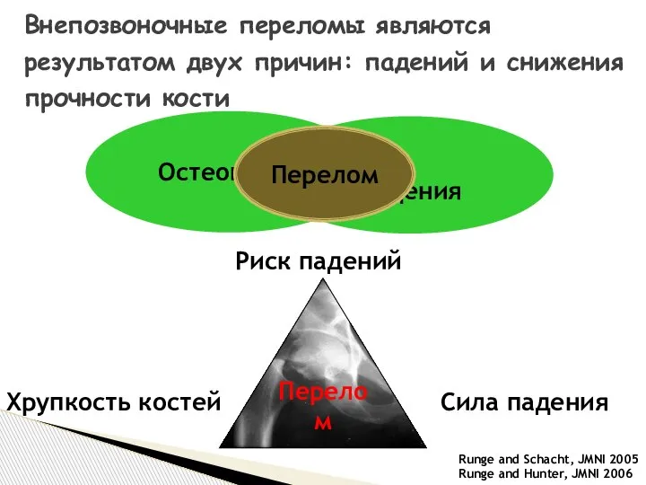 Внепозвоночные переломы являются результатом двух причин: падений и снижения прочности кости Перелом